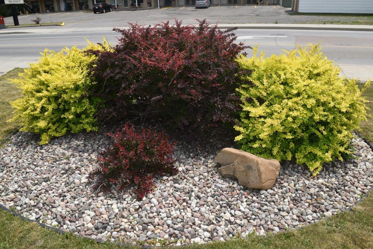Knights Inn Arnprior Zewnętrze zdjęcie